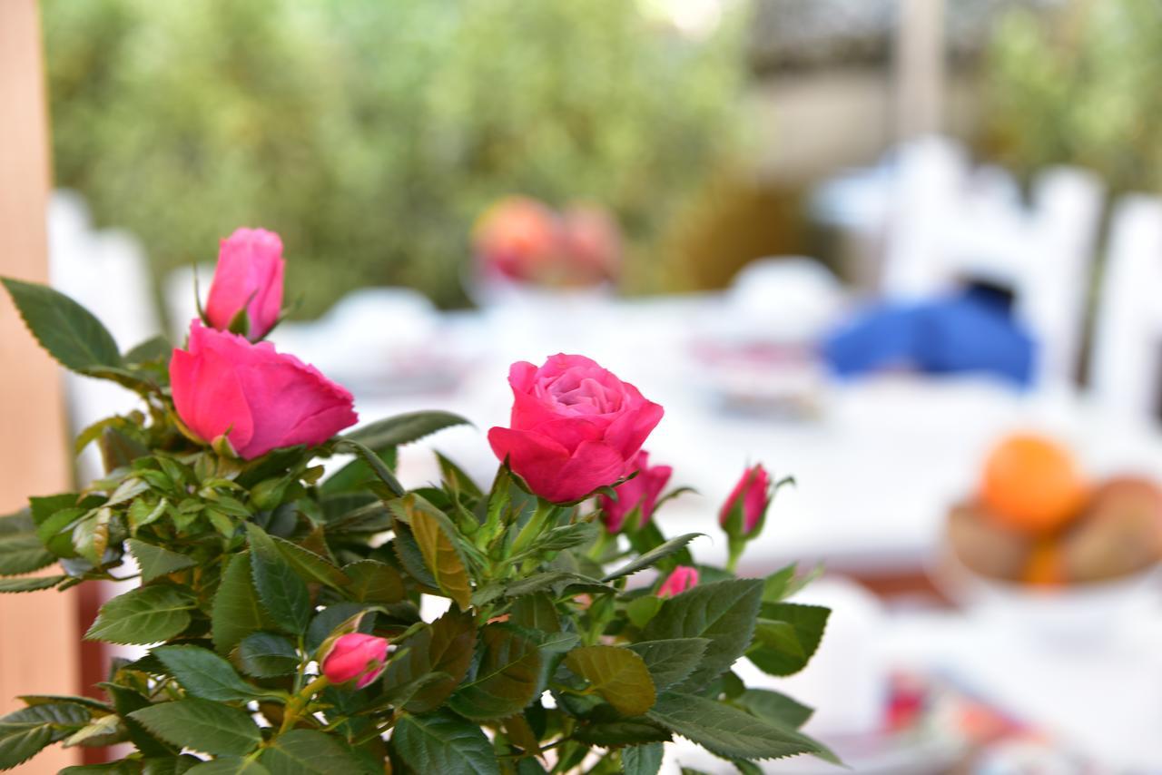 Bed & Breakfast Quodlibet Roma