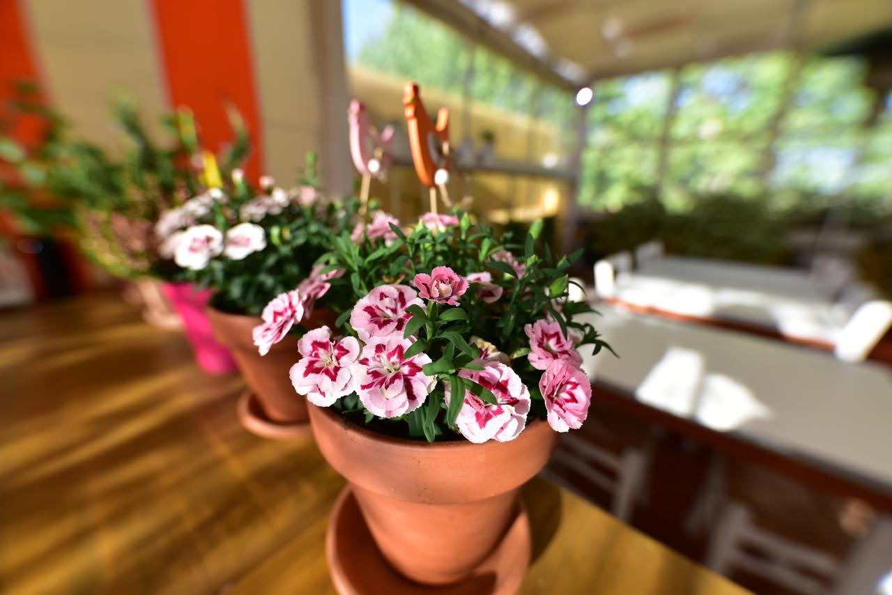 Bed & Breakfast Quodlibet Roma