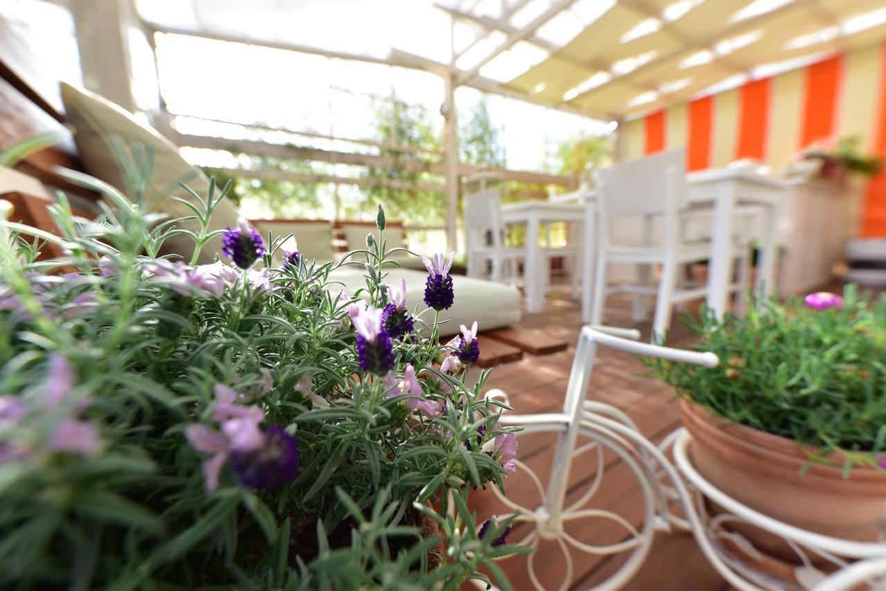 Bed & Breakfast Quodlibet 2*