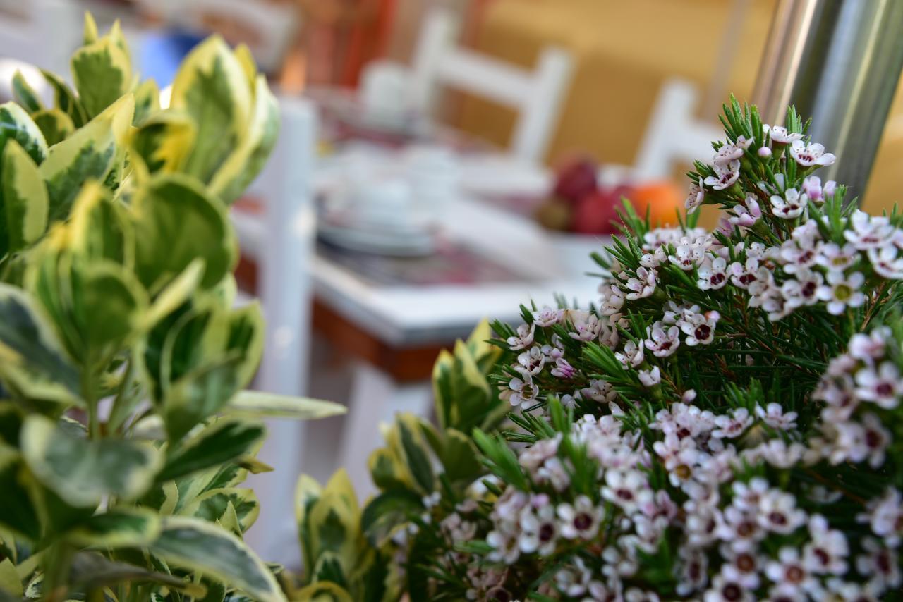 Bed and breakfast Quodlibet 2*